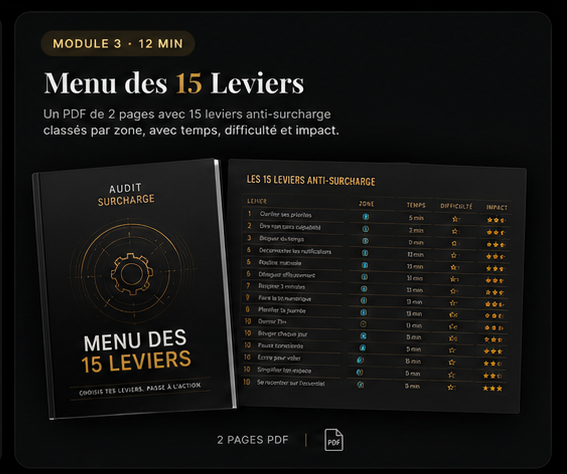 Menu des 15 Leviers